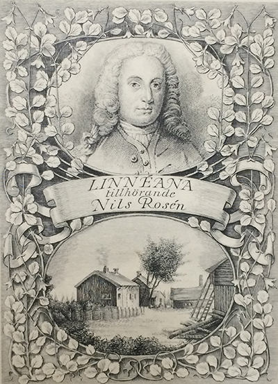 <p>Nils Rosén's Linnaeana bookplate in Carolus Linnaeus (1707–1778), <em>Museum S:ae R:ae M:tis Ludovicae Ulricae Reginae</em> ... (Stockholm, Literis &amp; impensis Direct. Laur. Salvii, 1764), Strandell Collection of Linnaeana no. 5561, HI Library call no. BD7 L758ml STR.</p>