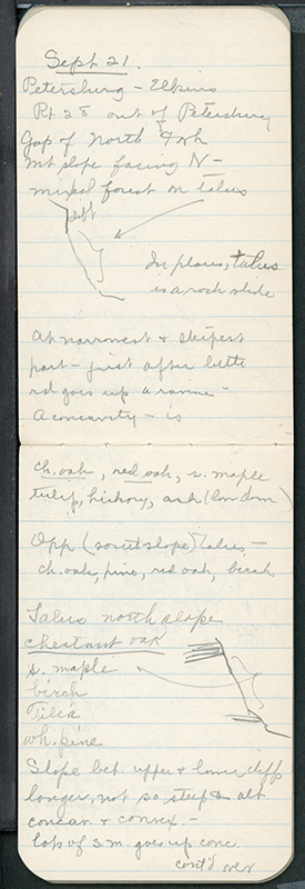 <p>Entry for 21 September 1938, Deciduous field notebook no. 8, HI Archives E. Lucy Braun collection no. 181. The Hunt Institute Archives holds over 80 of E. Lucy Braun's (1889–1971) field notebooks in which she recorded data that led to the publication of her <em>Deciduous Forests of Eastern North America</em> (Philadelphia, The Blakiston Company, 1950).</p>