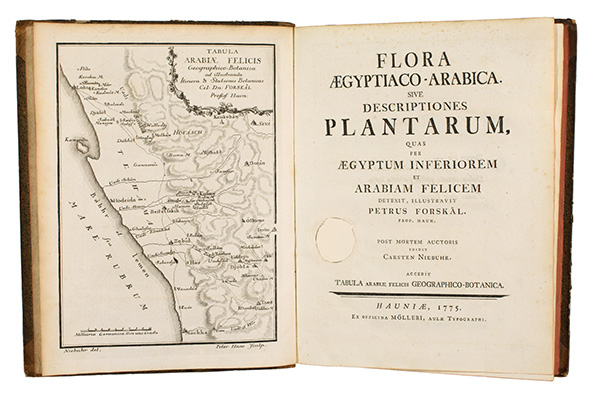<p>Frontispiece and title page of Linnaeus apostle Forsskal's most significant botanical work, published after his death by fellow explorer Carsten Niebuhr (1733–1815), for Peter Forsskal (1732–1763), <em>Flora Aegypiaco-Arabica</em> (Copenhagen, Ex officina Mölleri, 1775), Strandell Collection of Linnaeana no. 2110, HI Library.</p>